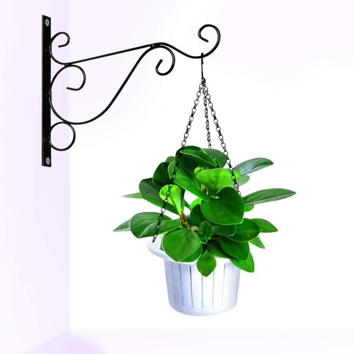 Metal Wall Hanging Plant Holder - Image 2